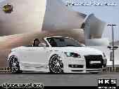 Photo MaitreFou - Auteur : GY DESIGN - Mots clés :  concours maitrefou audi tt-s tts decoration team couleur 
